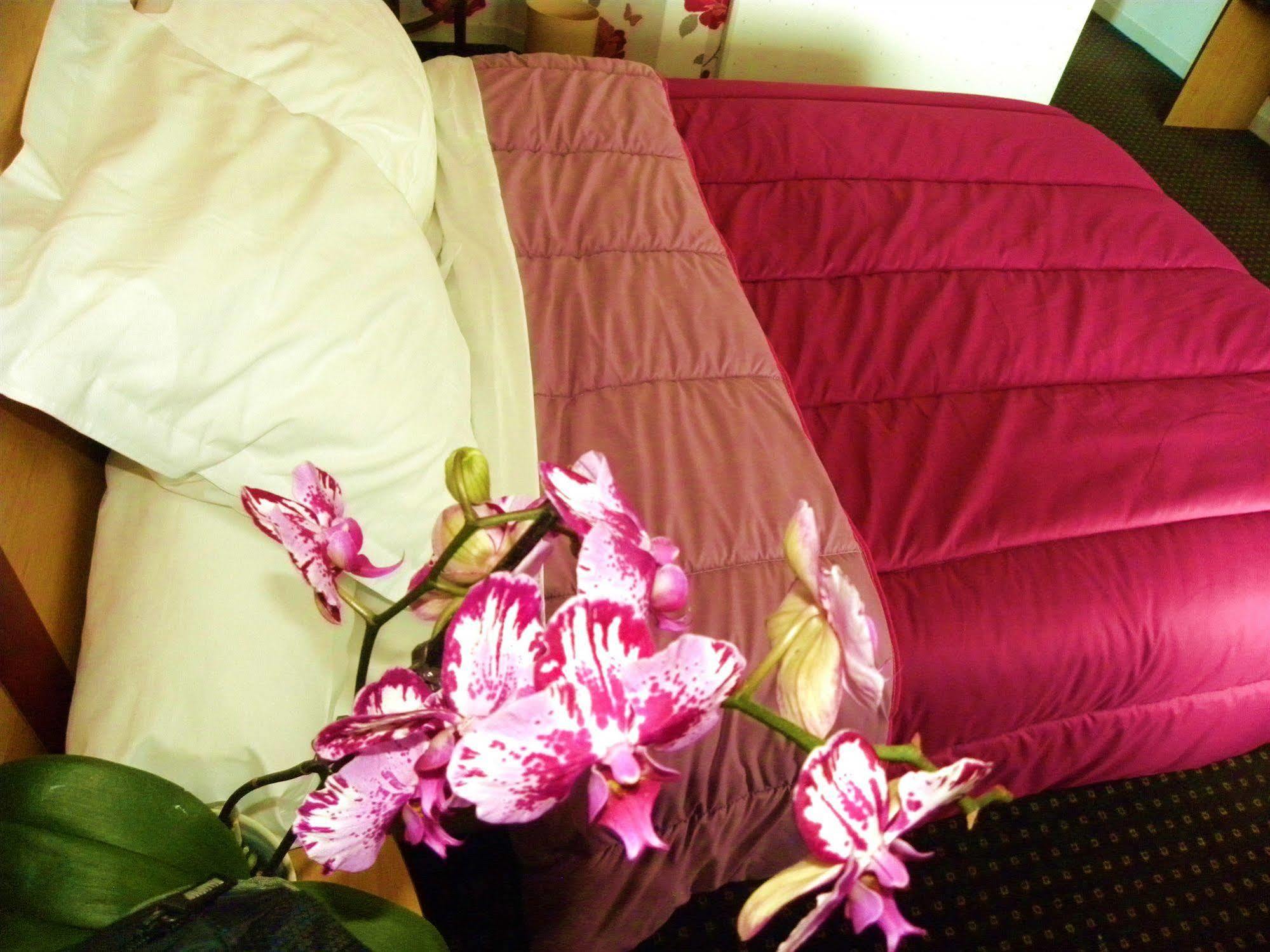 Hotel Ursula Cambo-les-Bains Eksteriør billede
